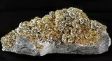 Chalcopyrite, Galena & Dolomite - Sweetwater Mine #45086-1